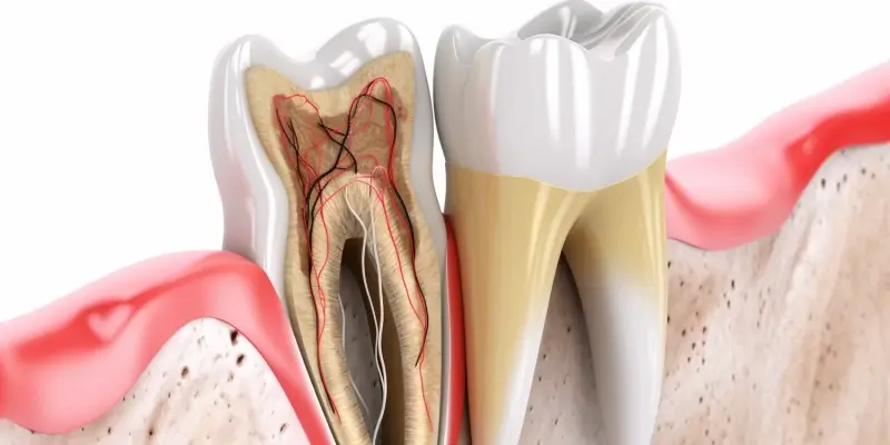 Endodoncja Szczecin